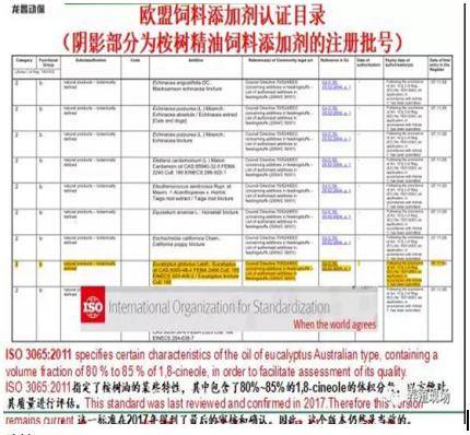 2024年新澳门今晚开奖结果2024年,高效推进解答解释措施_水晶款I92.753