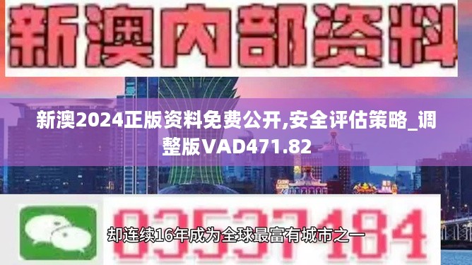 2024新奥正版资料免费,安全解答解释落实_正式款P13.368