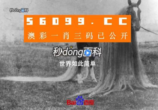 一肖一码一必中一肖,创新研究解答说明_赛事版O95.137