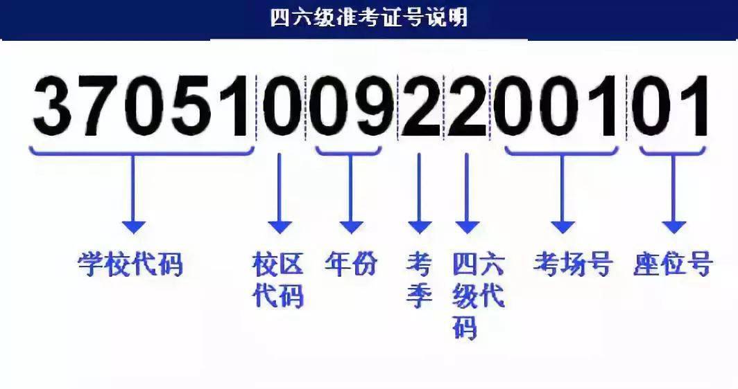 澳门正版资料免费大全新闻,全面掌握解答解释策略_静音款X13.200