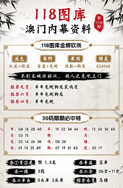 2024澳门精准正版免费大全,创新执行解答解释_战争版B40.628