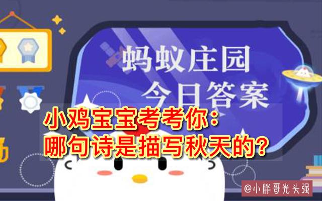 今日庄园小课堂新答案,庄园小课堂今日新答案揭晓