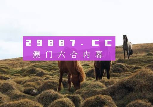 澳门4949开奖现场直播+开,细致研究执行方案_提升款Z69.334