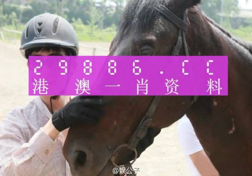 澳门今晚必中一肖一码准确9995,实践策略实施解析_预览版K75.513