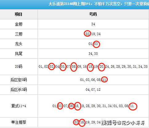 今晚开奖开什么号码,结构分析解答解释方案_特别制T9.221