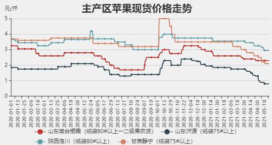 苹果期货最新消息,苹果期货资讯速递