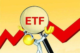 etf,金融市场上备受瞩目的“指数基金”