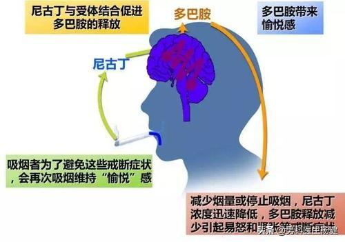 男科,专业关注男性健康领域