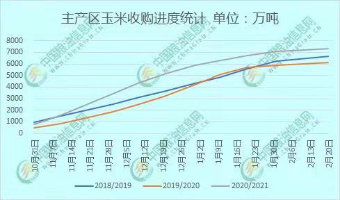 四川玉米价格最新行情,四川玉米市价动态追踪，最新走势揭晓！