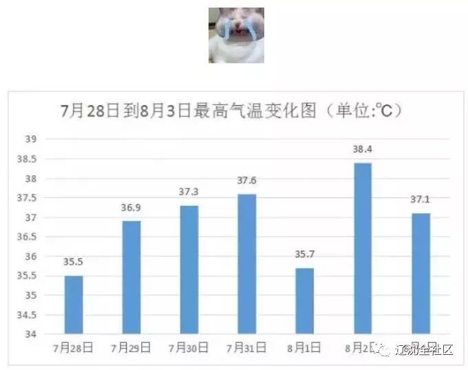 澳门六开奖结果2024开奖今晚,实数全释景实解分解价_谜终峰B94.257