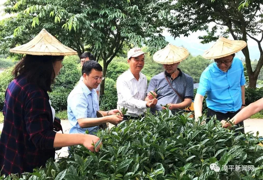 漳平最新招聘信息,漳平新鲜出炉的就业资讯来袭！