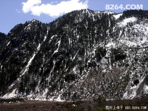 雪山雪崩向导被埋,雪崩现场导游不幸被掩埋