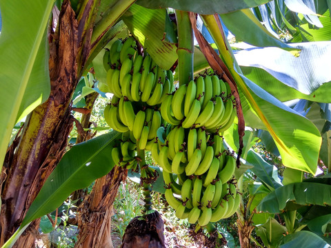 醉卧沙场秋梦 第6页