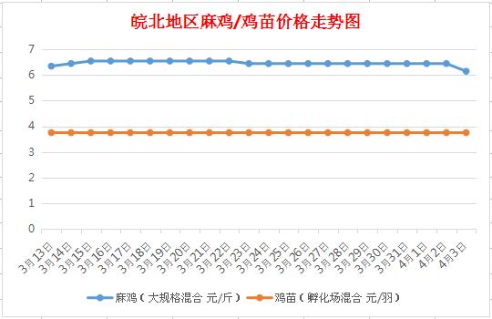 麻鸡最新行情,麻鸡市场动态持续更新。