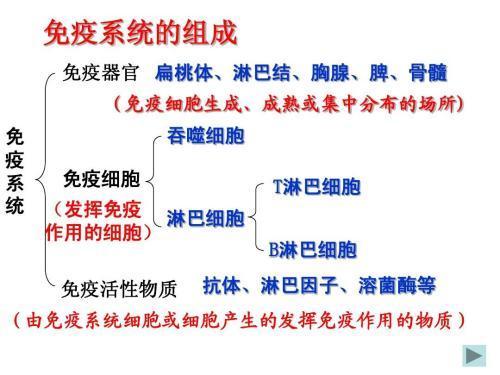 最新治精分,前沿疗法攻克精分症难题