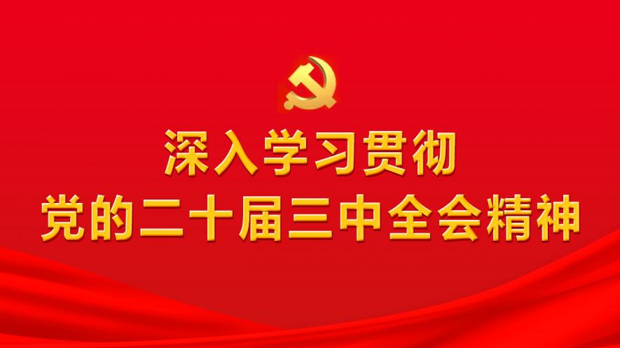 海口头条最新新闻,“海口资讯速递，新鲜热辣资讯盘点”