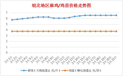 剑舞苍穹之巅 第5页