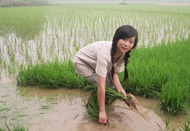 农女当道最新章节,“热门小说《农女当道》最新章节火热连载中！”