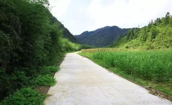 株洲市最新征拆,株洲市近期大力推进征拆项目。