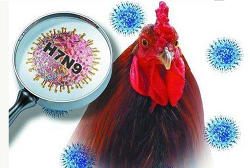 h7n9疫苗最新消息,H7N9疫苗研发动态持续更新。