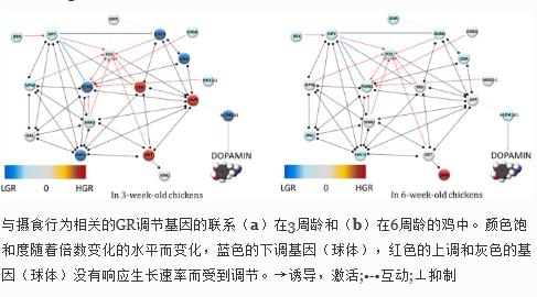 国家对锅炉的最新政策,“国家近期发布锅炉行业最新调控政策，助力产业升级。”