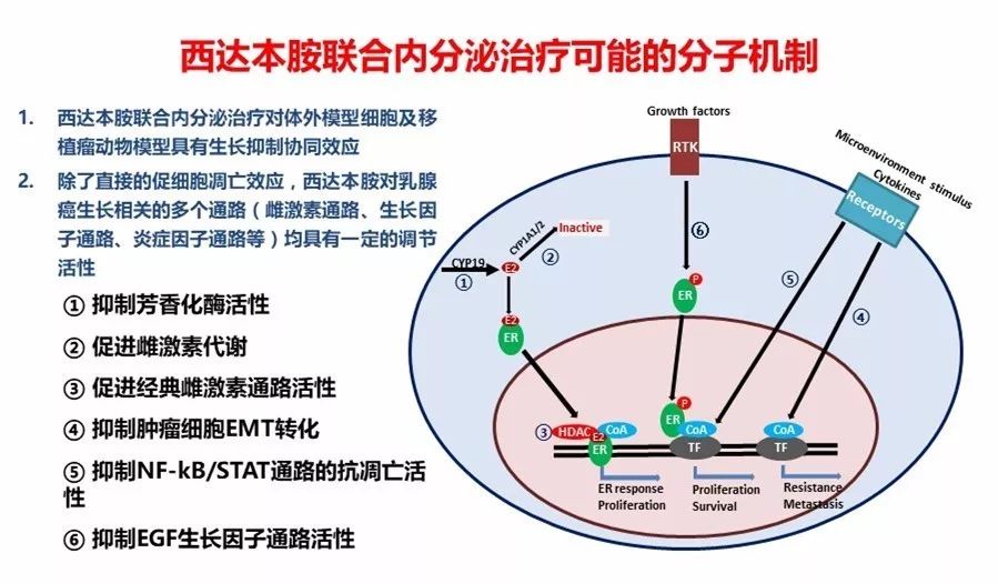 西达本胺最新消息,西达本胺研究进展迎来新突破。