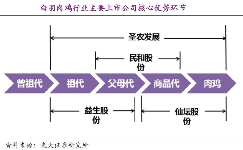 石家庄最新出行政策,石家庄最新出行指南出炉，优化调整助力出行便利。