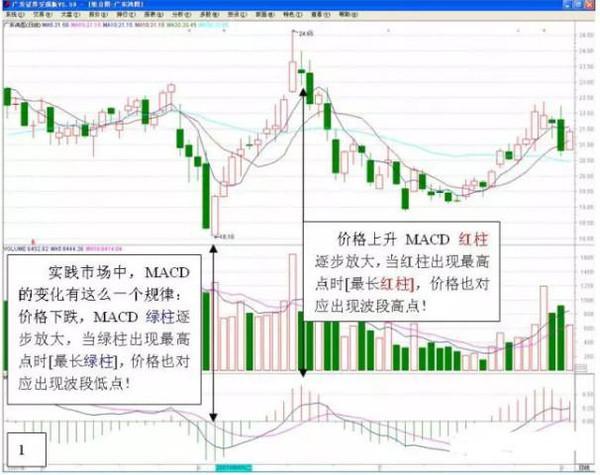 揭秘2023年最新大蒜价格走势：你不知道的市场变化和购买技巧！