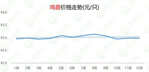 揭秘成都市场最新鸡价波动：全面解析价格行情动态！