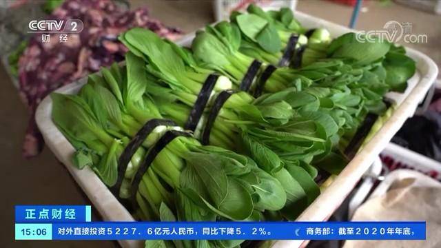 西安欣桥蔬菜最新价格,西安欣桥蔬菜价信息