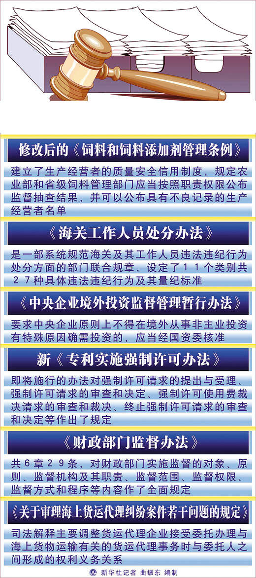 越级上彷最新规定全文,突破层级解读最新法规全览