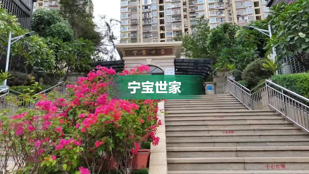 厦门宁宝世家最新动态,宁宝世家厦门最新资讯