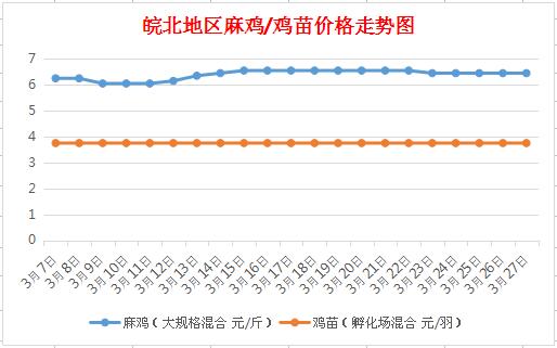 皖北麻鸡最新行情,皖北麻鸡市场动态