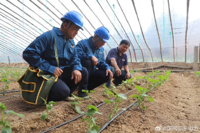 被辞退农电工最新消息,农电工被辞退最新动态